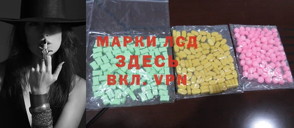 гидра Няндома