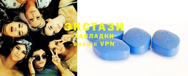 гидра Няндома