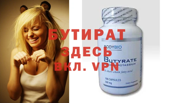 гидра Няндома
