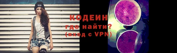 гидра Няндома