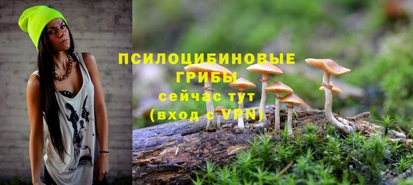 гашик Нязепетровск