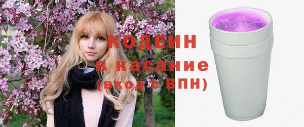гидра Няндома