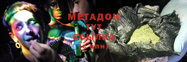 гидра Няндома