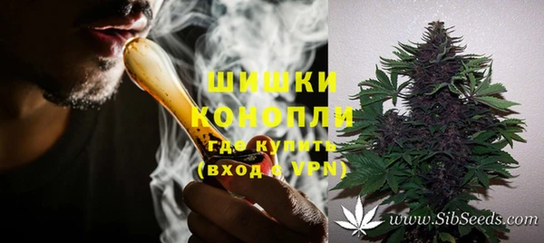 гашик Новокубанск