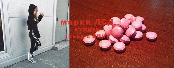 гидра Няндома