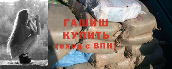 гидра Няндома