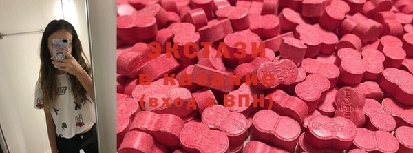 гидра Няндома
