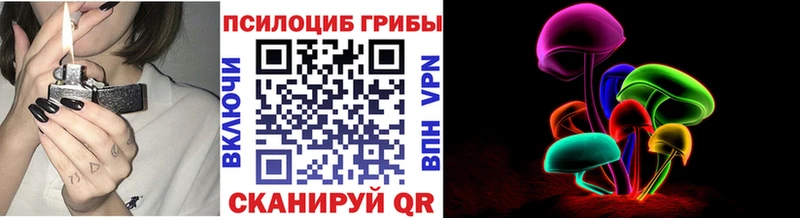 Галлюциногенные грибы Cubensis Струнино